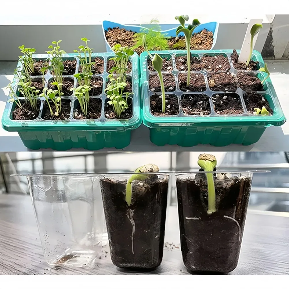 12/6 hole Seedling Box Rectangular Breathable with Light Seedling Extractor for Vegetable Succulent Horticultural Planting Tray