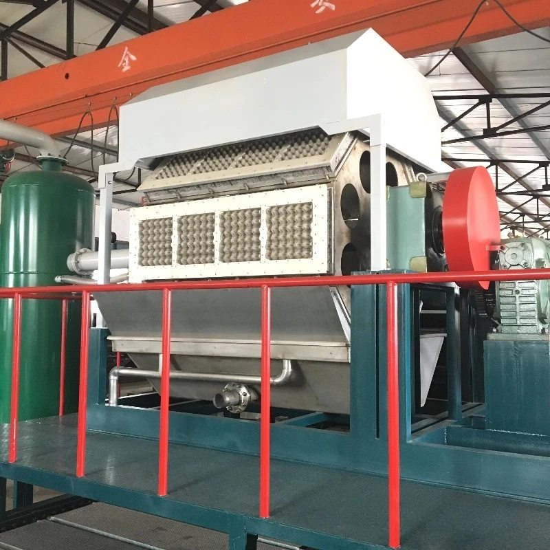 Automatic Egg Tray Manufacturing Machine Small Footprint Low Consumption Pulp Molding Equipment Customized Internal Structure