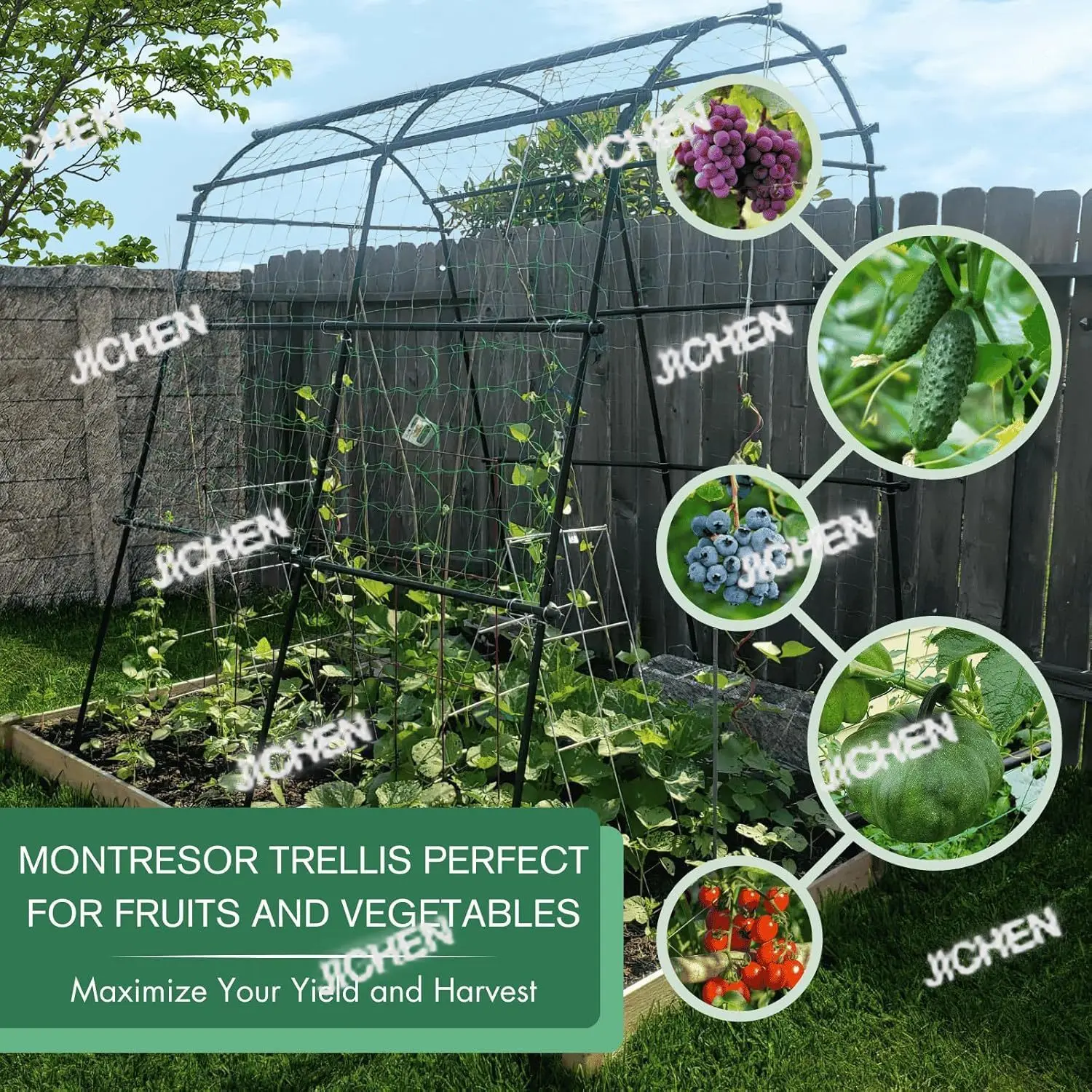 Pot Gardening Grape… - image