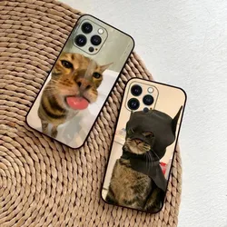 Funny Cat Memes Phone Case For iPhone 15,14,13,12,11,Plus,Pro Max,XS,X,XR,SE,Mini,8,7 Soft Silicone Black Cover