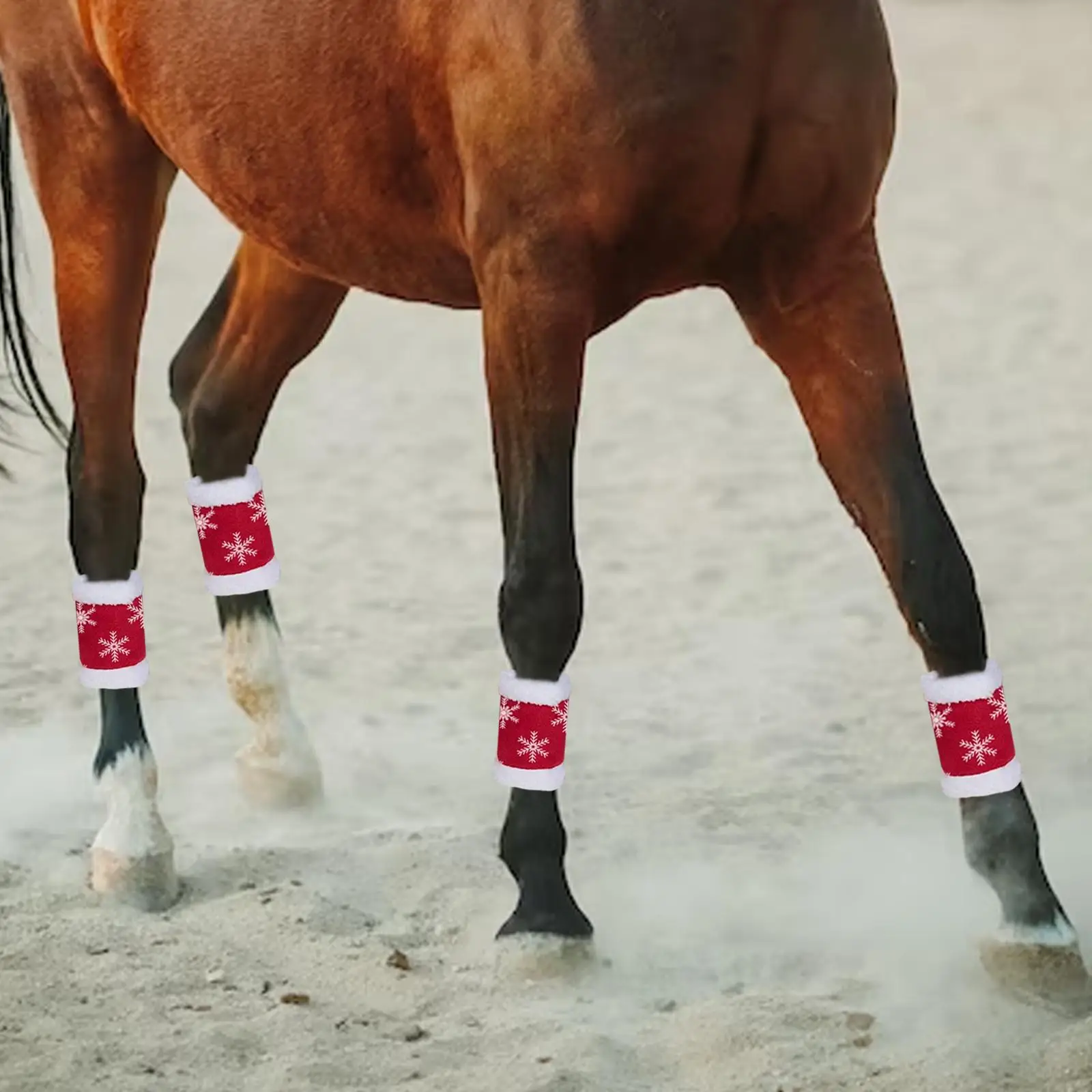 Jambières chauffantes pour cheval, bottes rondes pour le saut et l'équitation, 4 pièces