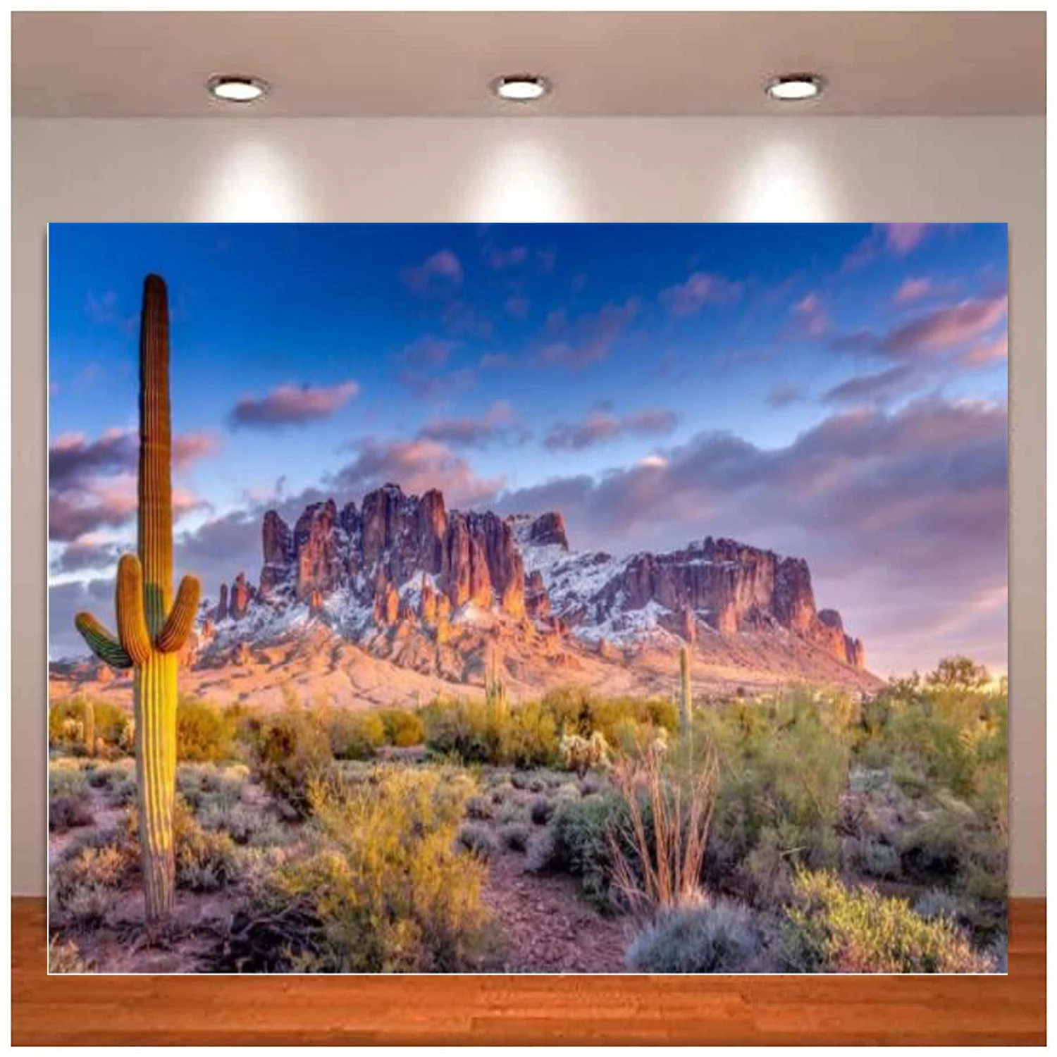 

Dusk Sunset Arizona Desert Saguaro Photography Backdrop Western Blue Sky Sand Dunes Prickly Cholla Background Travel Photo