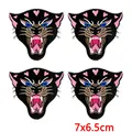 PE17873CT