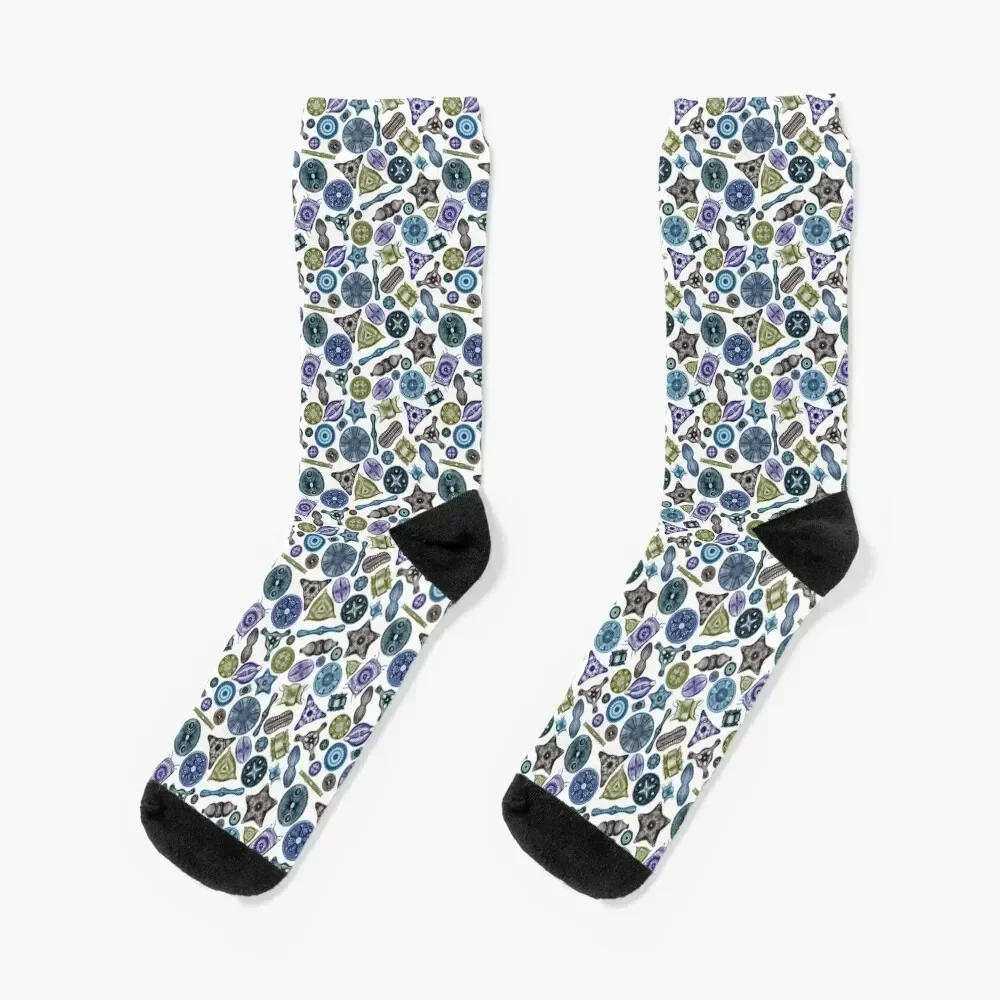 Ernst Haeckel Diatoms Tossed in Sea Hues Socks ankle men cotton high quality Ladies Socks Men's