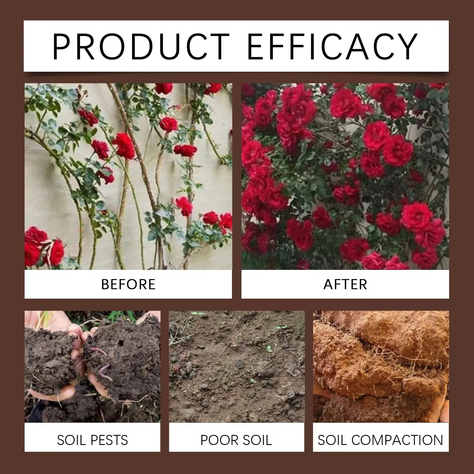 100g Plant Growth Enhancer Rooting Powder - Soil Activator & Nutrient-Rich Flower Fertilizer | Boosts Plant Hormone Function