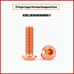 T2 Purple Copper Pan Head Hexagonal Screw/Conductive Bolt M2M2.5M3M4M5M6M8M10