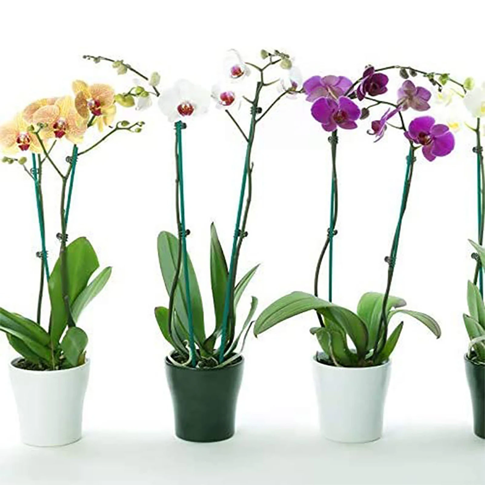 Supporting Stalks Grow Upright Plant Stake Colorfast and Compact Plant Stake for Orchids Vines Vegetables Flowers