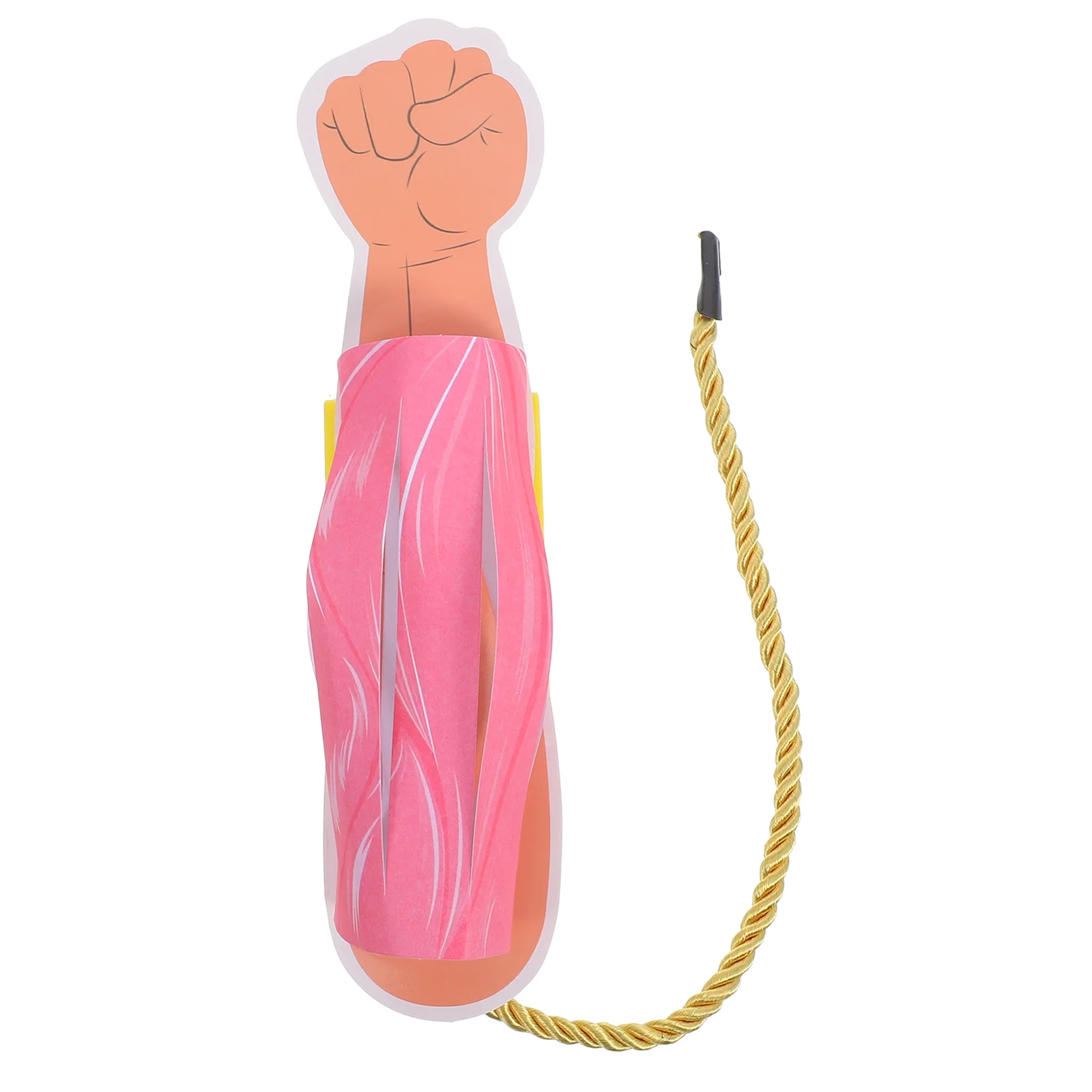 Realistic Human Muscle Model Arm Shoulder Joint System Paper Craft Educational Tool Detailed Detachable