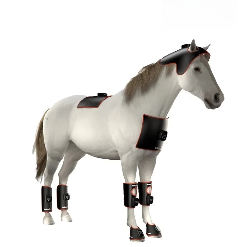 Veterinary Instrument for Equine Soft Tissue Injury Repair Apparatus With Red & Blue Light Therapy for Horses Animal Care