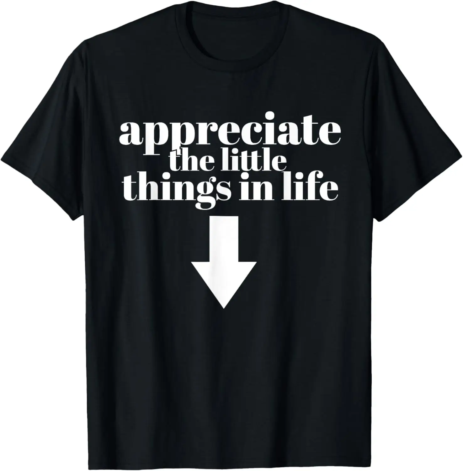 

Appreciate The Little Things In Life Arrow Funny Adult Joke T-Shirt