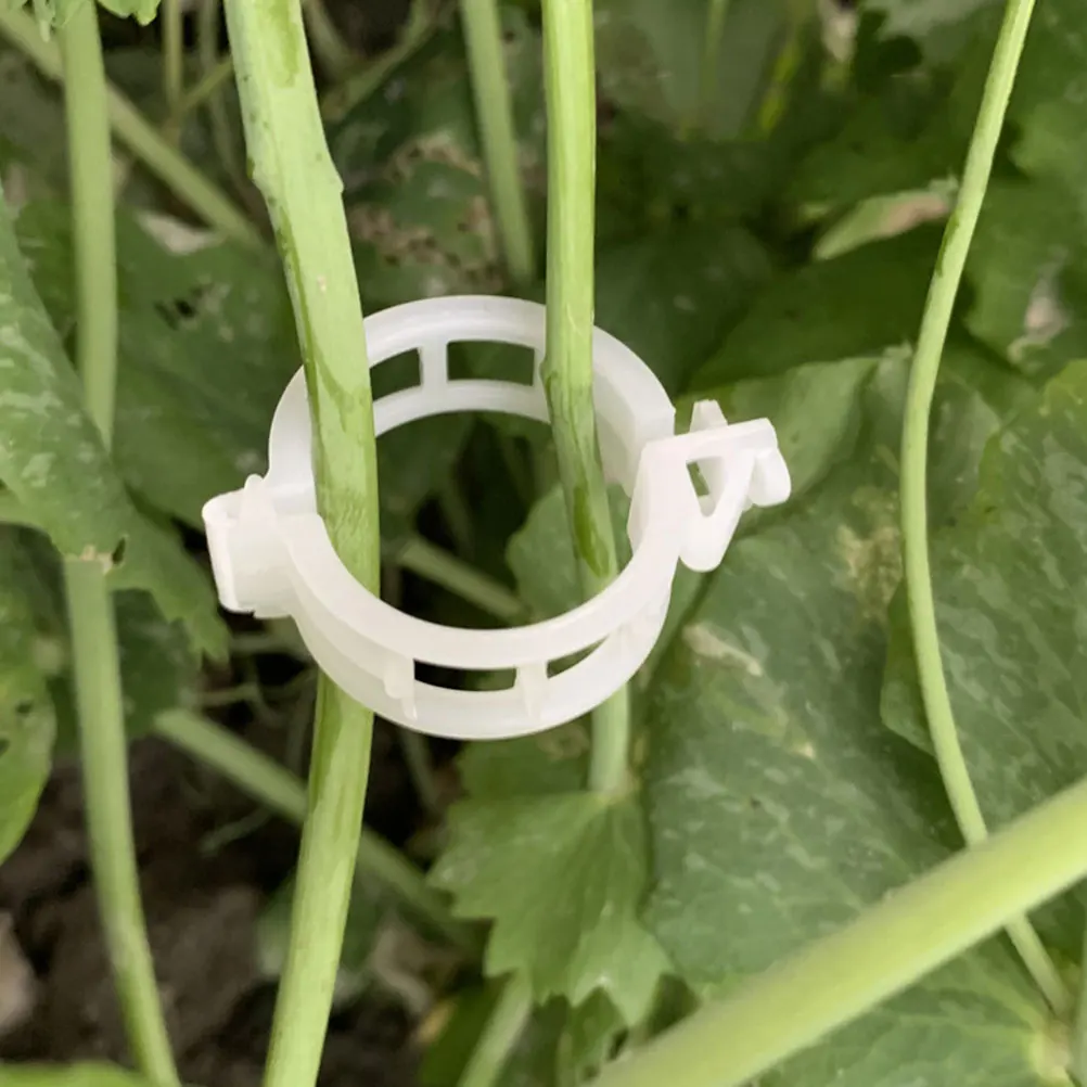 

100 Pcs Plant Clips Climbing Plants Plastic Gardening Grafting Flower Support Vines Clamps for Fixing Tomato