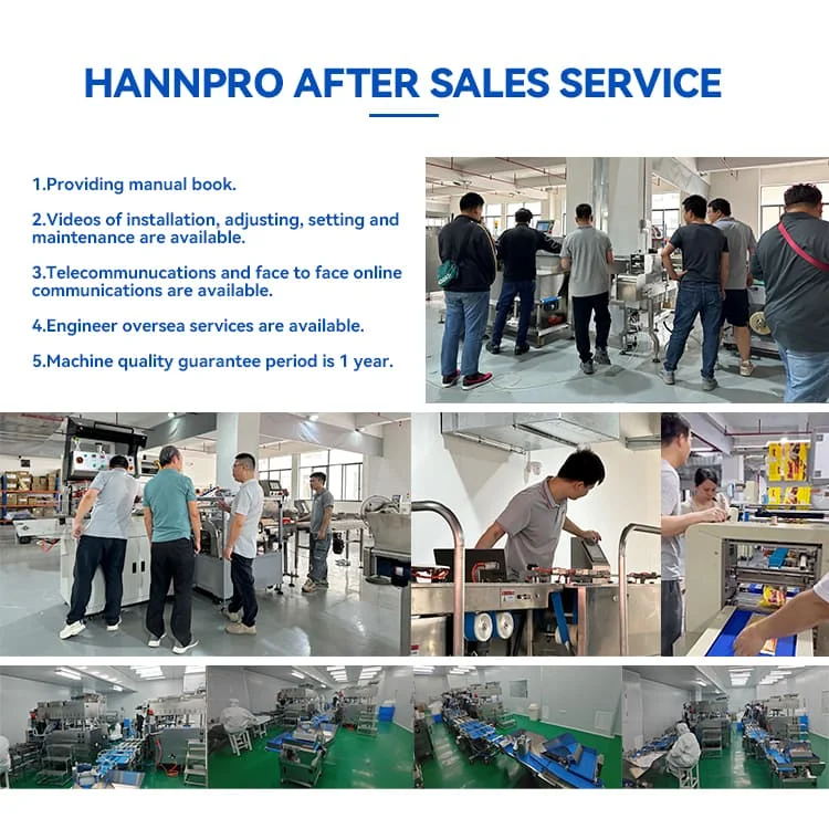 Multi-channel Easy To Operate Automatic Snus Powder Packing Machine Jar Filling Production Line