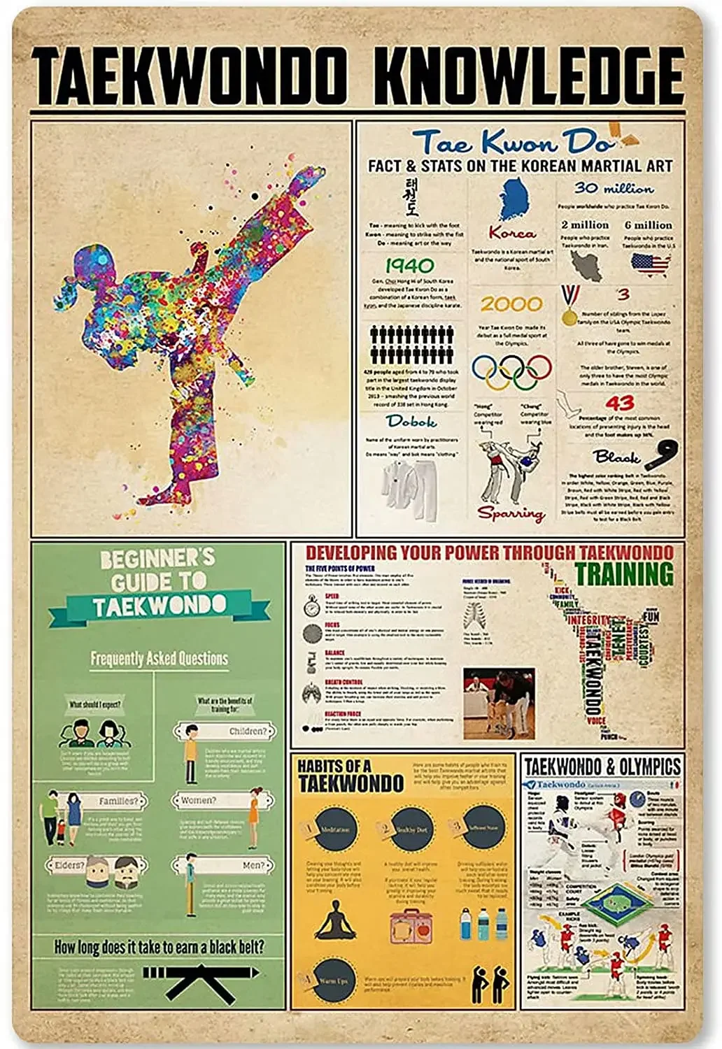 Panneau métallique en étain pour connaissance de Taekwondo, affiche infographique pour déblancer le Taekwondo, Club scolaire, Plaque murale de cuisine à domicile