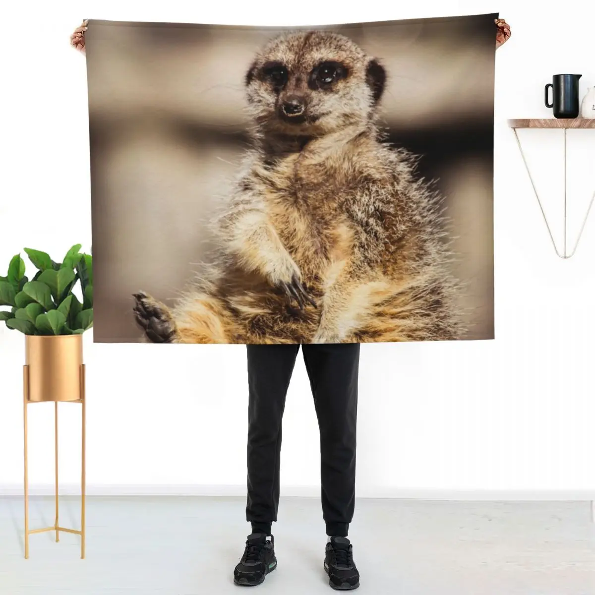 Cute Meerkat Throw Blanket funny gift Luxury Designer Extra Large Throw Bed Luxury St Luxury Blankets