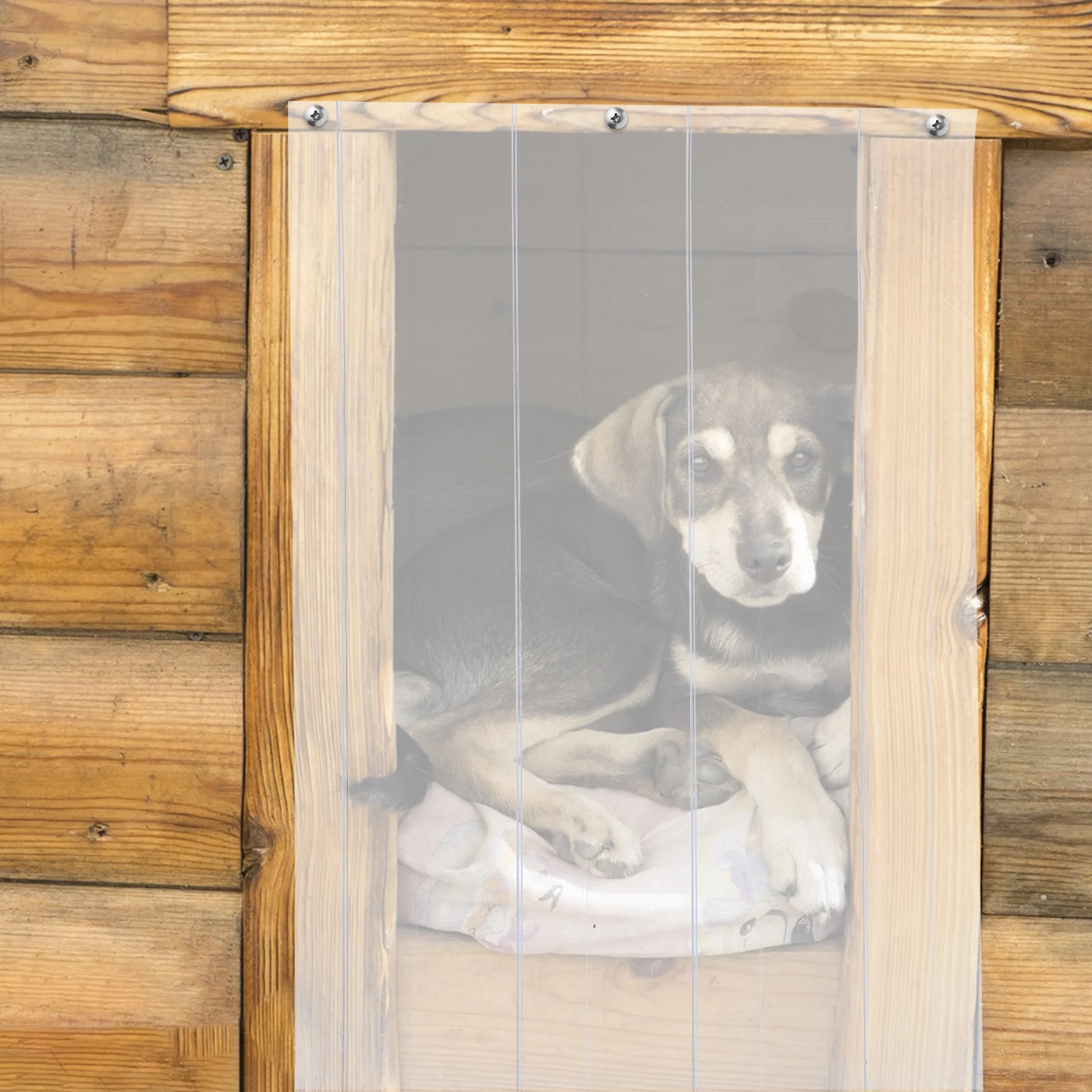 

Dog Flap Clear PVC Soft Doorway Curtains Pet House Sky Blue Door Strips Plastic Curtain Strip Door Replacement