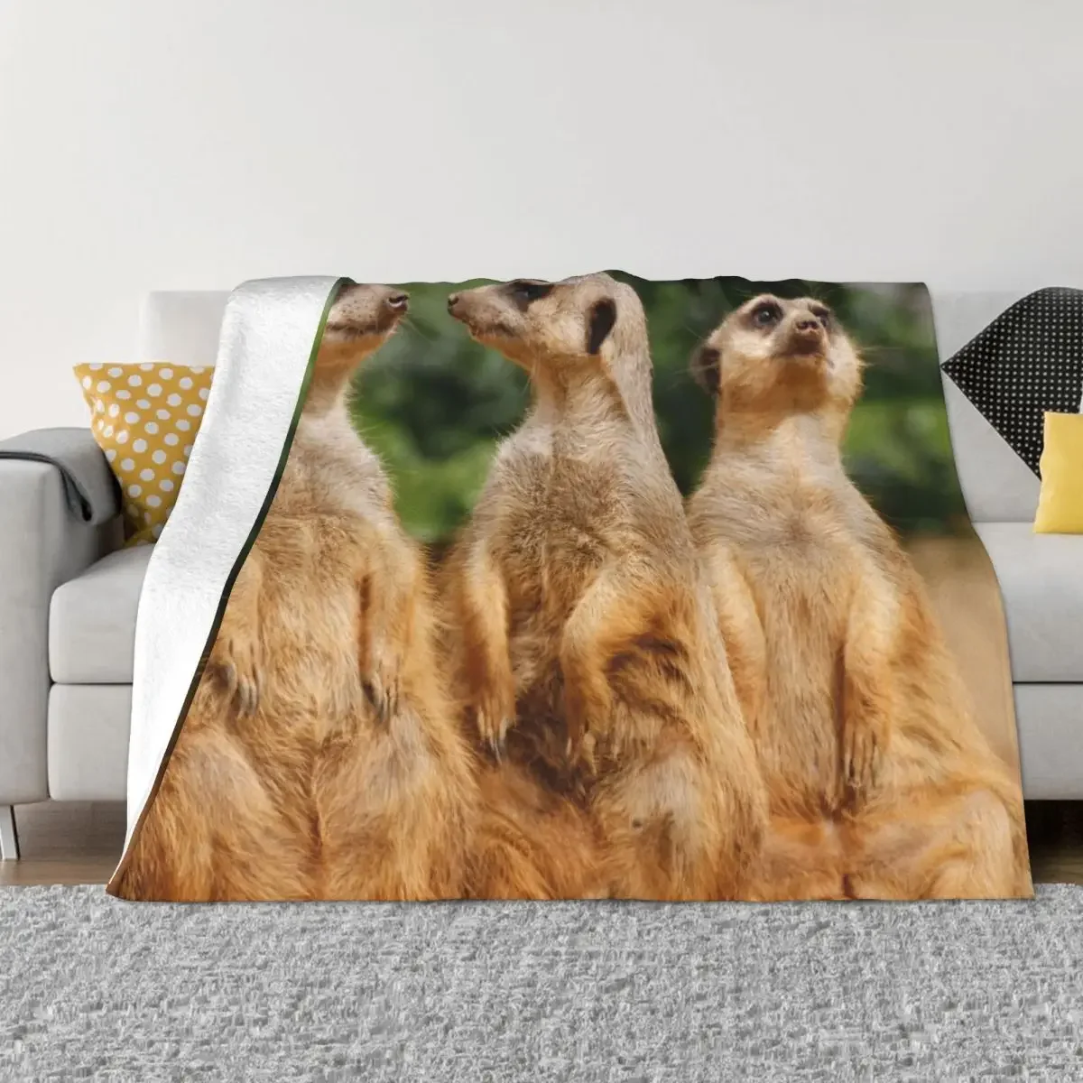 Meerkat 07 Throw Blanket Furry Sofa Blankets