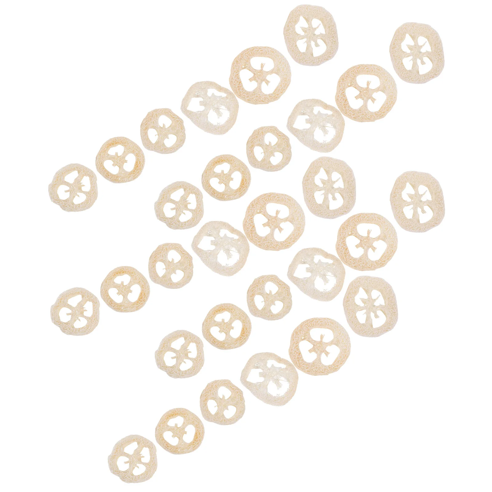 

40Pcs Natural Loofah Slices Pet Chewing for Hamsters Rabbits Guinea Pigs Small Animal Teeth Cleaning Mouth Care