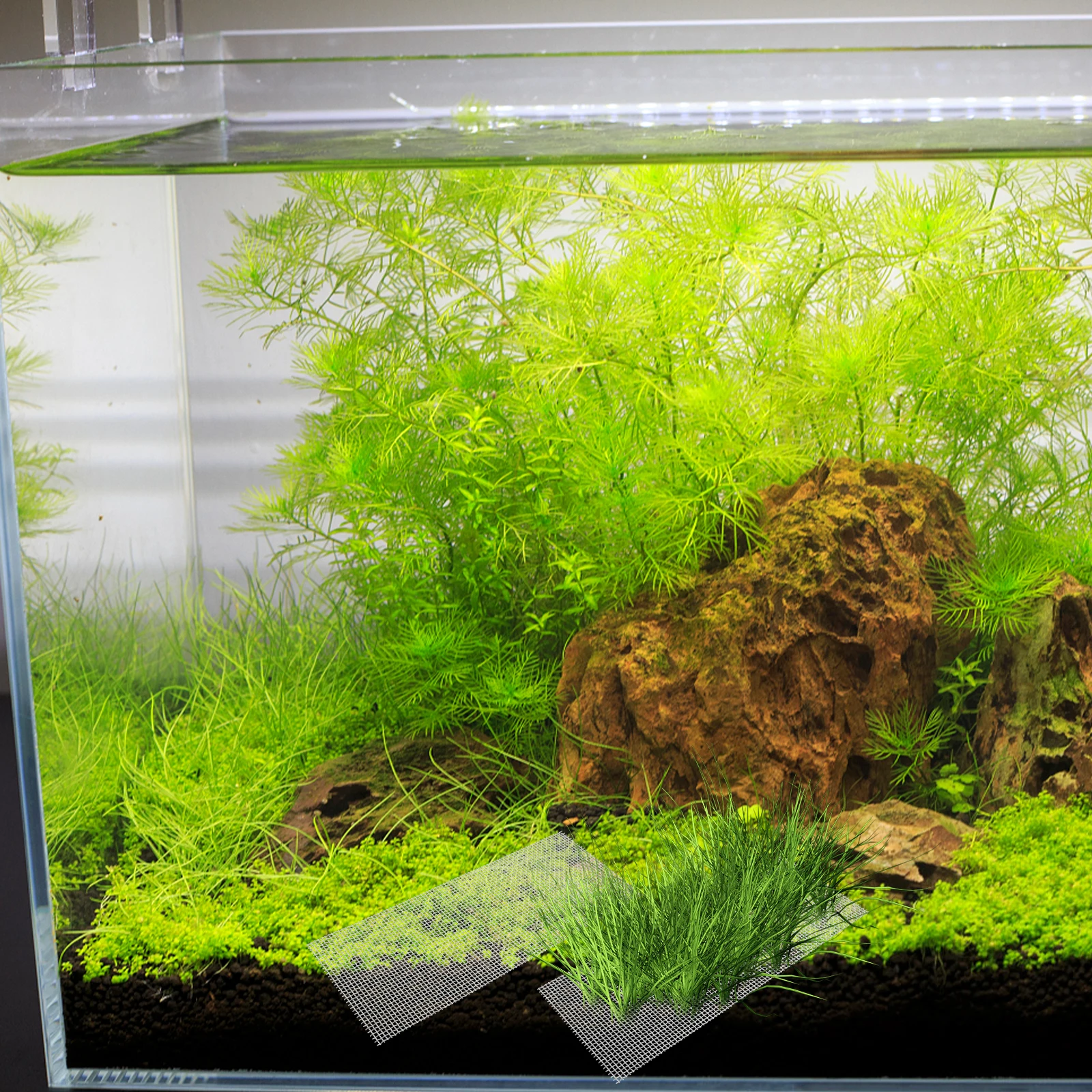 

10pcs Stainless Steel Aquatic Mesh Durable Fish Tank Carpet For Christmas Moss Java Moss Multi-Functional Seaweed Mesh