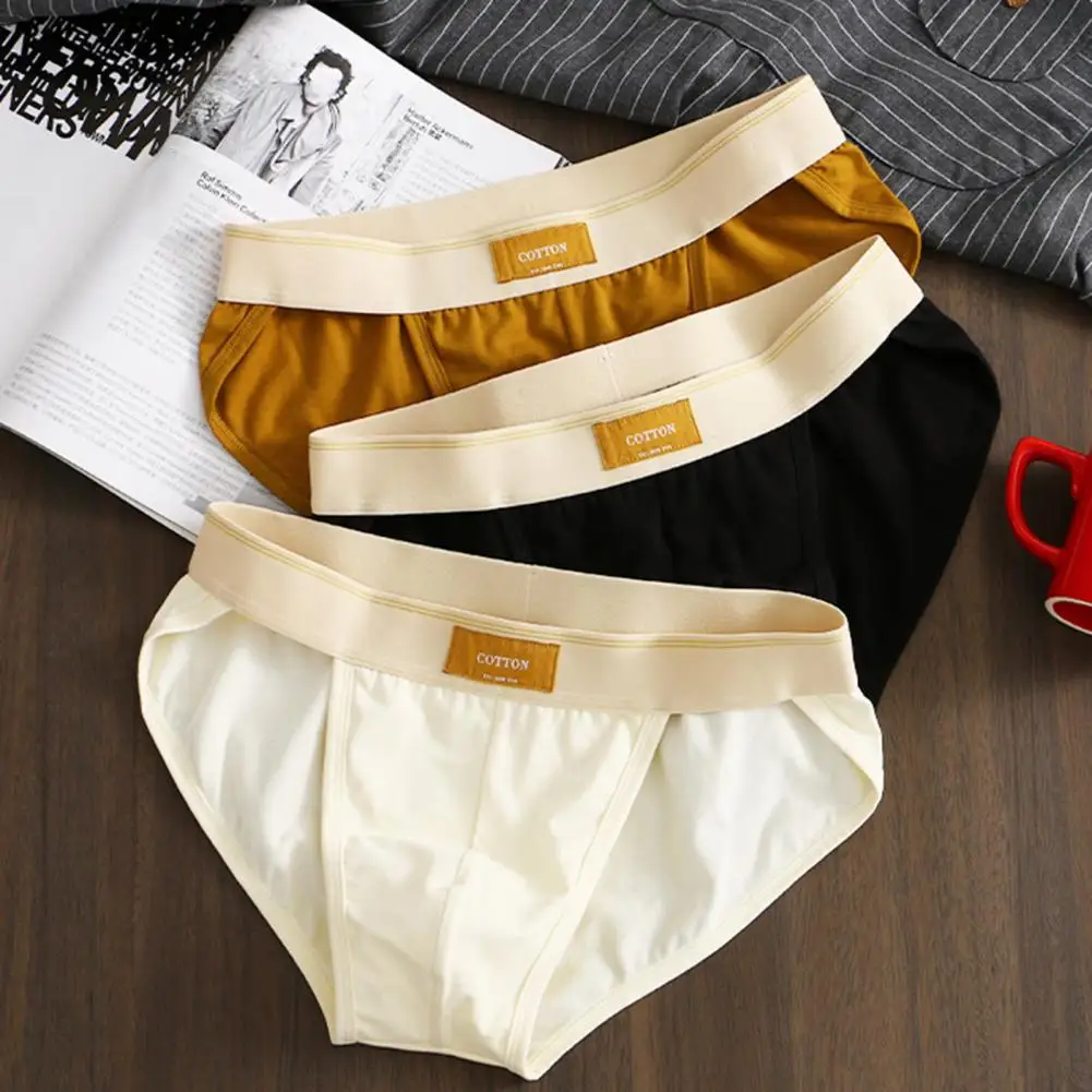 Japanese Style Cotton Men Briefs Mens Underwear Briefs Nylon For Men Bulge With Pouch Hombre Breathable And Sexy Male Panties