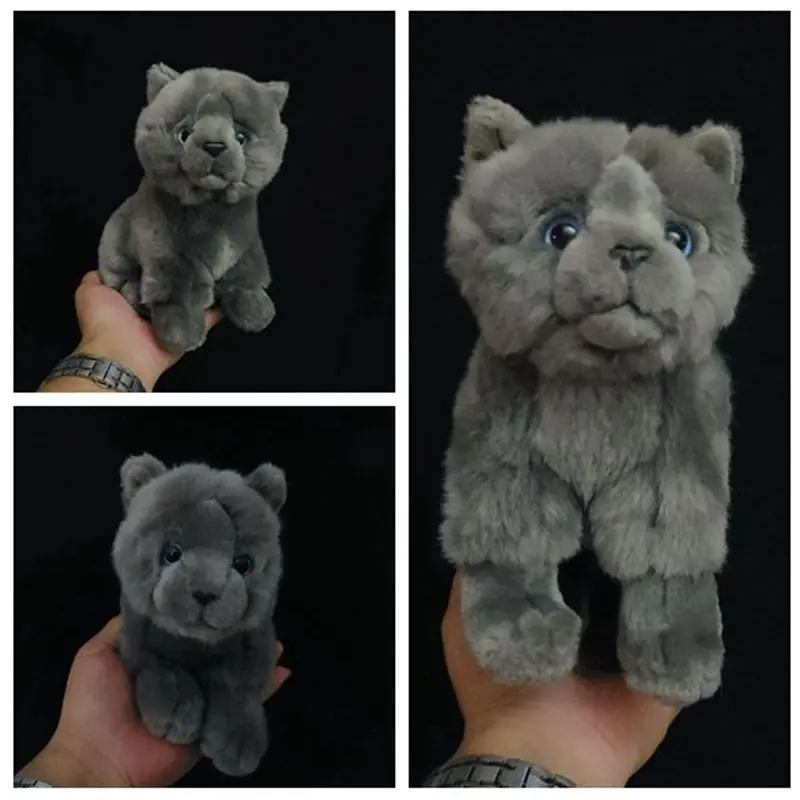 

Cute British Shorthair Blue Cat Little Cats Plush Toys Simulated British Shorthair Cat Doll Simulation Stuffed Doll Kawaii Toy