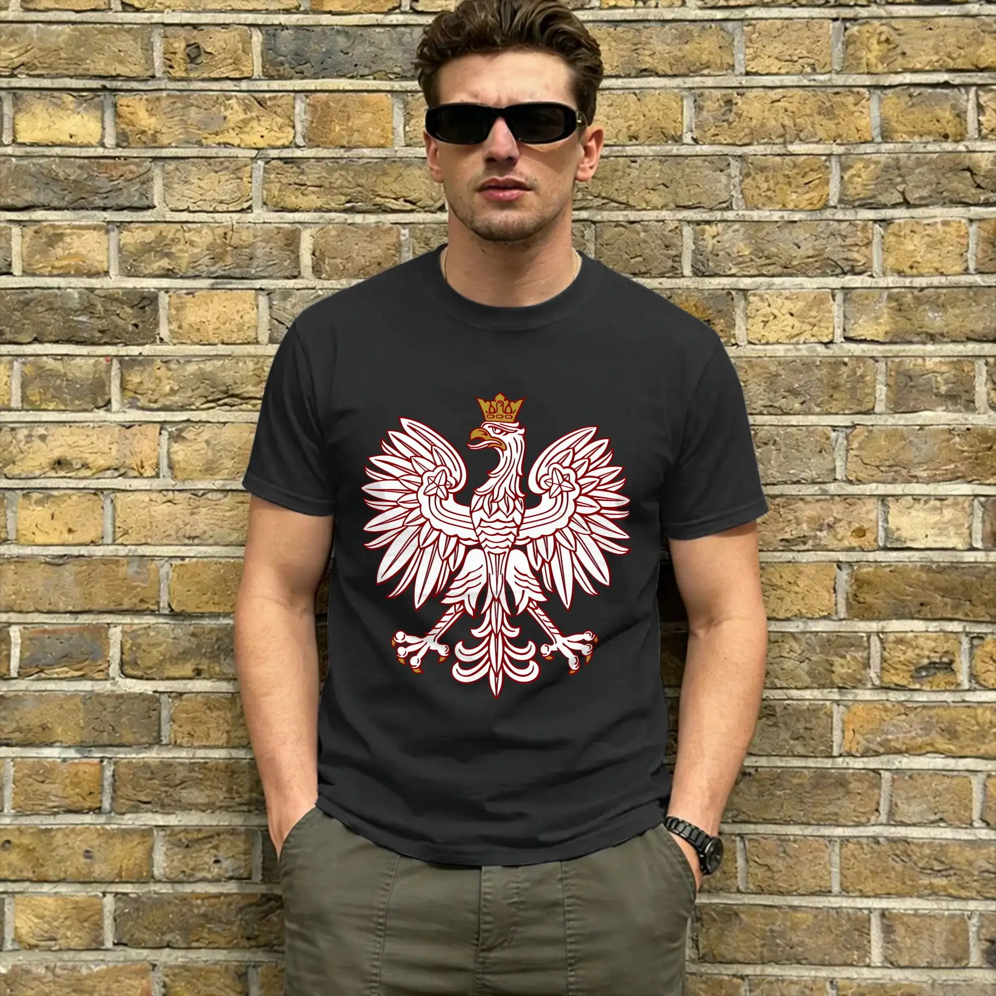 Novelty Poland Polish Flag T-Shirts for Men Crewneck Cotton T Shirt Polish Eagle  Short Sleeve Tees Summer Clothing