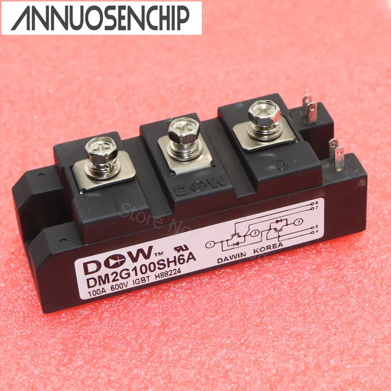 

Free shipping 1pcs DM2G100SH6A Best Quality