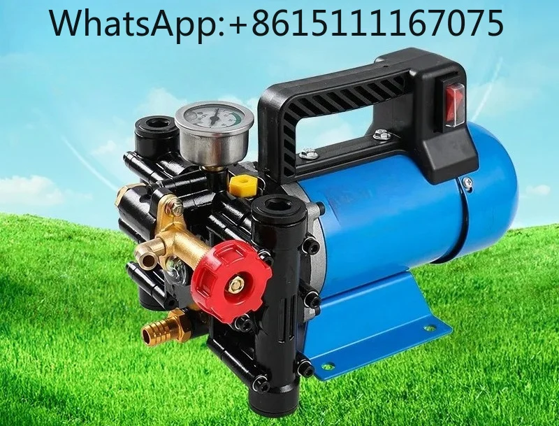 12V/24V//220V Dosing Pump Spray Watering Car Washing Irrigation Double Cylinder Plunger Agricultural High Pressure Pump