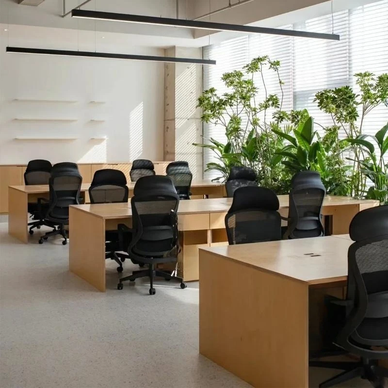 

Nordic birch with cabinet workbench desk, rectangular negotiation conference table