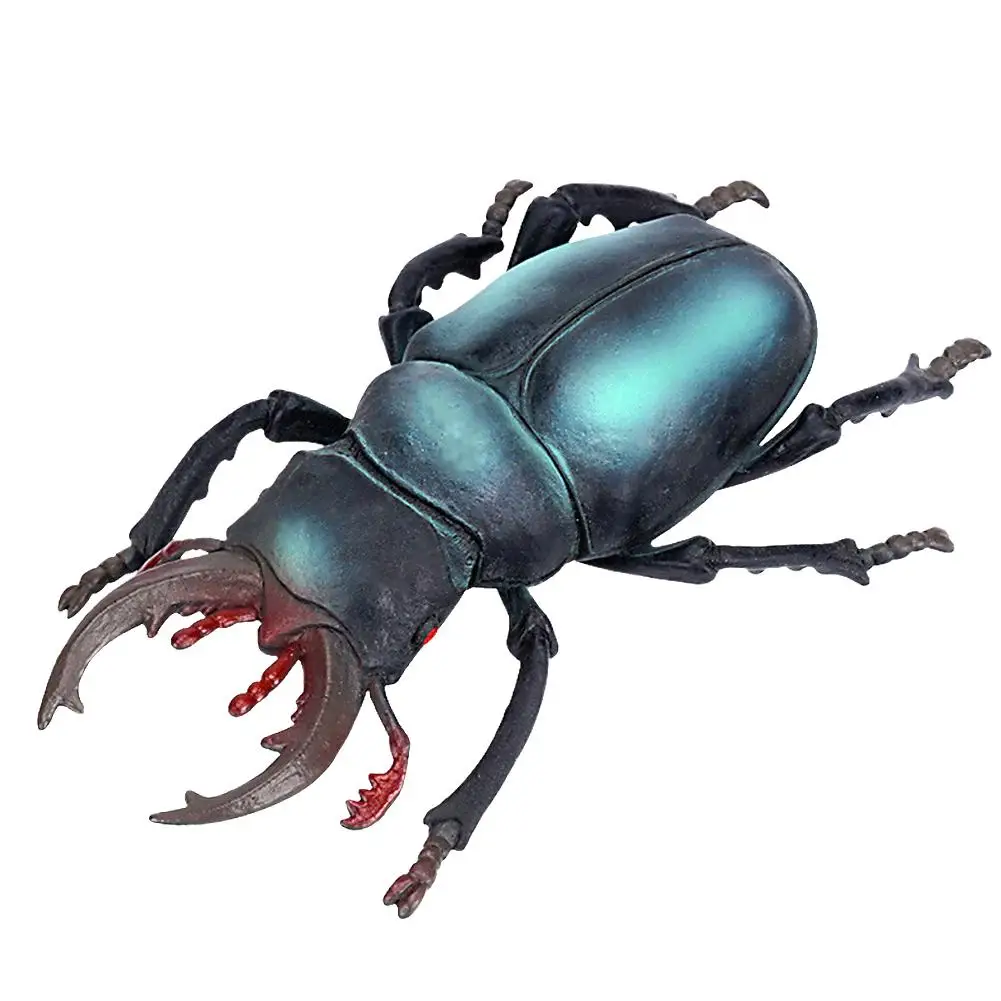 Large Realistic Insect toys Simulated Insect Animal Model Home Garden Decoration Collection Statues Educational Toy for Kids