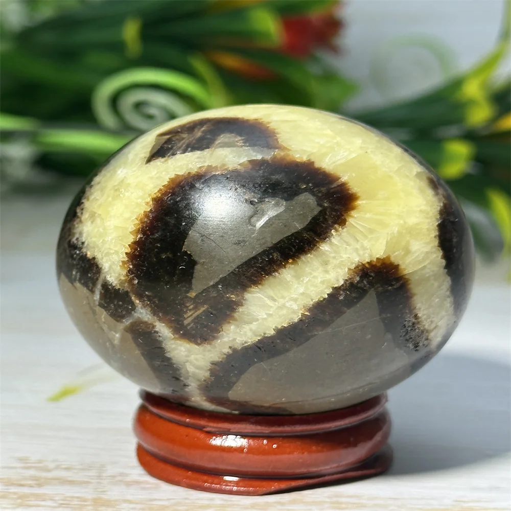 Natural Turtle Back Crystal Stone Ball Hand-polished And Polished To Heal Energy Aura Home Fengshui Altar Decoration Decoration