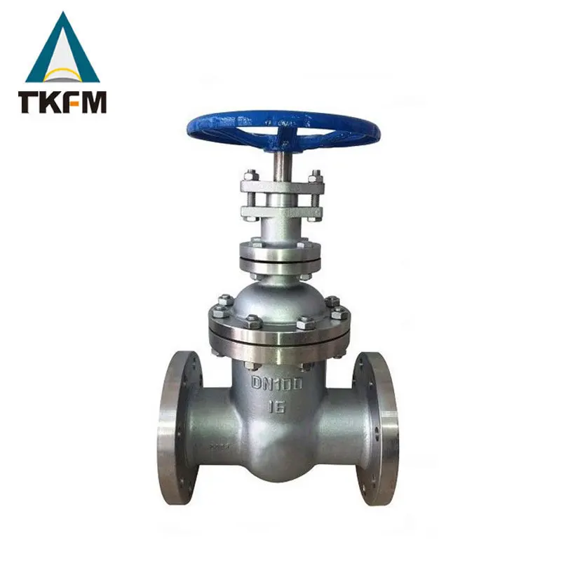For 2 Inch CL150 ASTM A216 Wcb Manual Water Extension Rising Spindle Flanged Gate Valve Stainless Steel Seal SS304 Pin Graphite