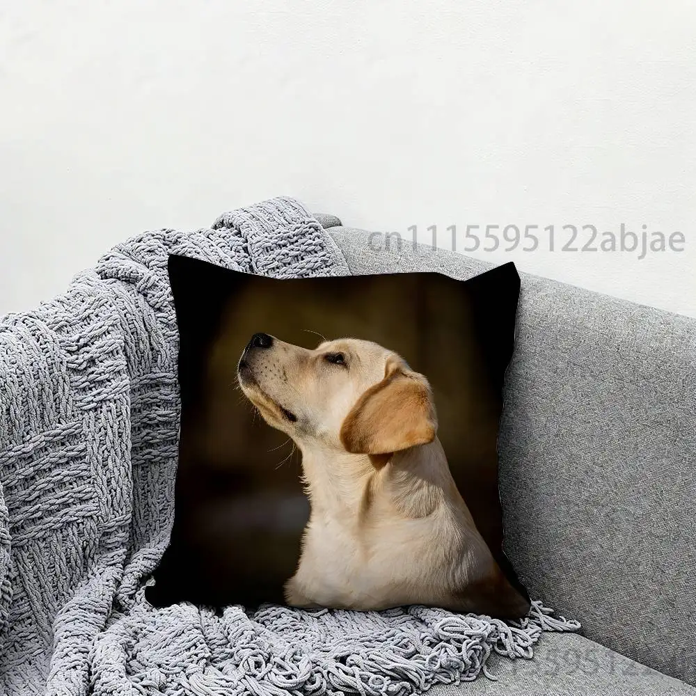 Labrador retriever Throw Pillow Case Decoration Bed Custom Square Pillowcase Pad Cover