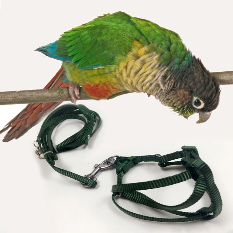 Bird Harness Leash for Flying Training Rope Ferret and Other Small Pet Animals