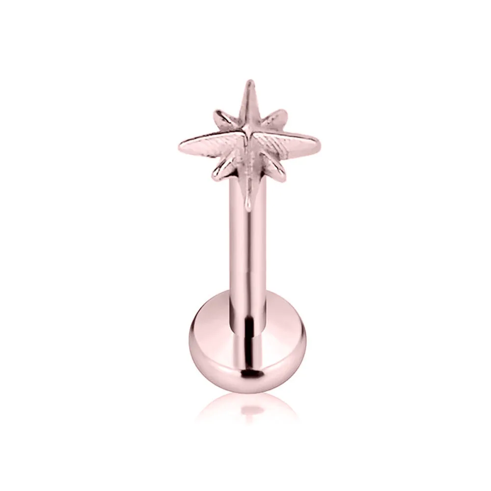 G23 Titanium Star Heart Threadless Labret Stud Earring