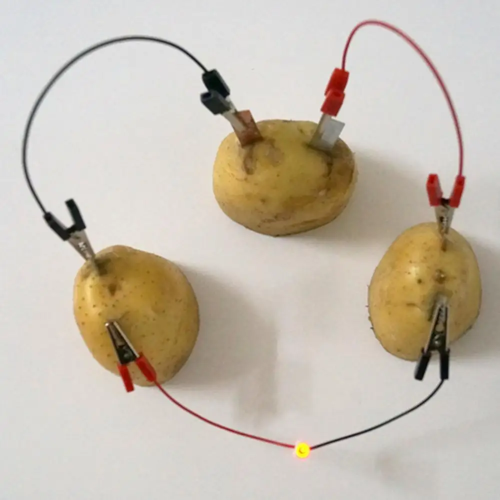 DIY Potato Fruit Power Battery Bio Energy Light Diode Clock Kit Experiment Toy