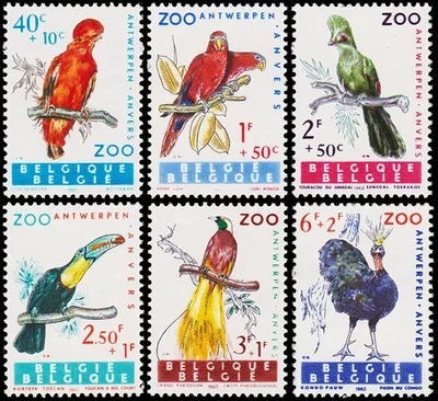 6Pcs/Set New Belgium Post Stamp 1962 Rare Bird Parakeet Parrot Hornbill Peacock Stamps MNH