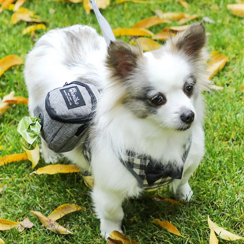 Thumbnail 2 - #14 Dog Waste Bag Holders Comparison Guide