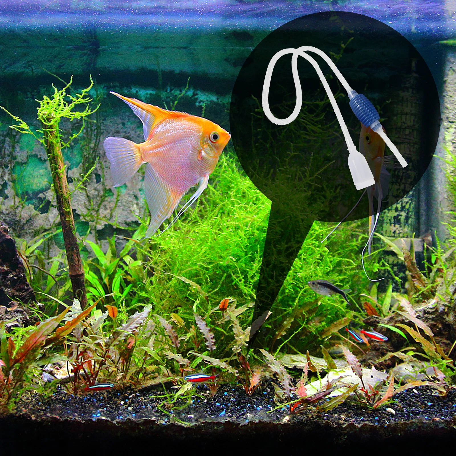 

Plastic Connection Siphon Vacuum Water Pump Gravel Cleaner Aquarium Filter Pet Supplies Siphon Vacuum Water Pump Plastic Tube