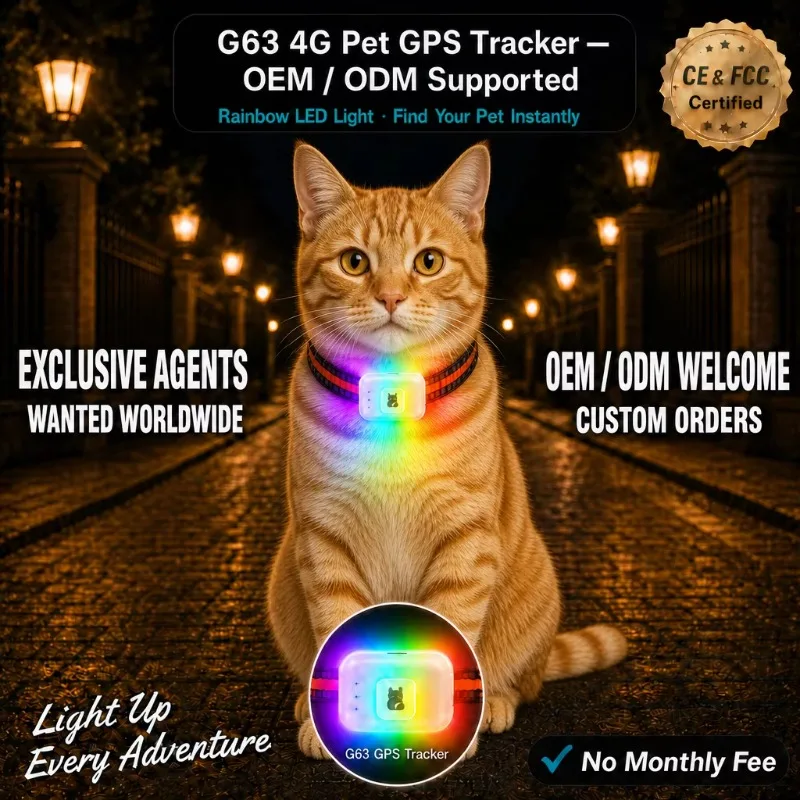 G63 Find My Cat 4G GPS Tracker Color LED Light Mini Waterproof Pet Dog Locator  APP Real Time Location Activity Monitoring