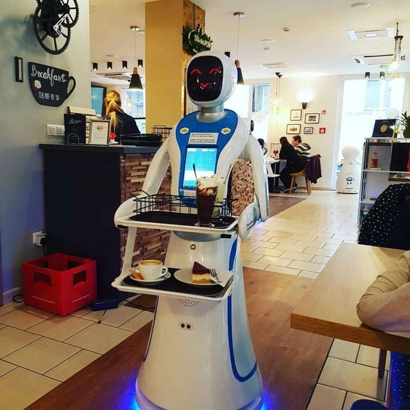 robot dome serving in restaurant robot restaurant waiter service delivery