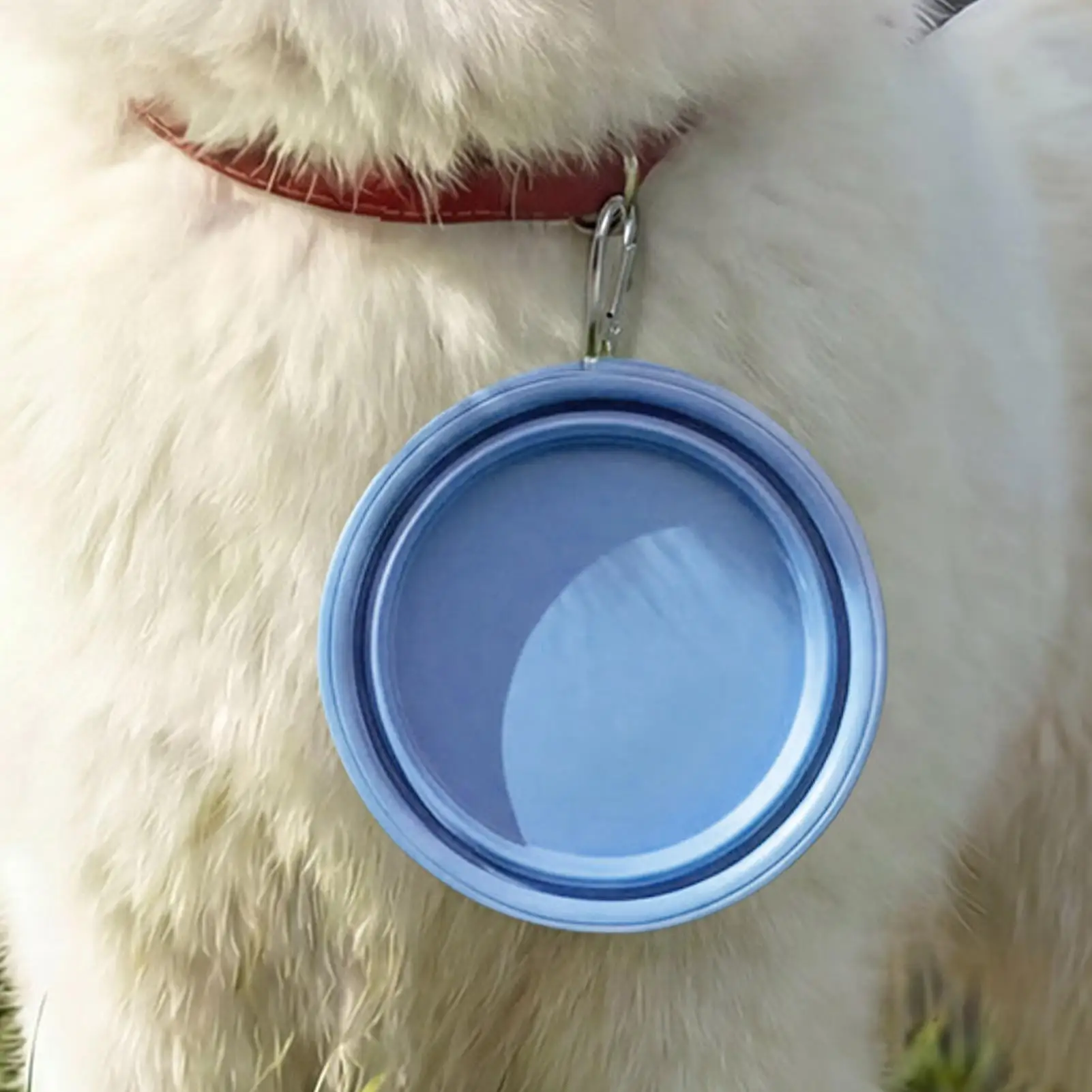 Foldable Portable Dog Bowl,Dry Wet Food And Water Hydration Drinker,For Small Medium And Large Dog Breeds Daily Outdoor Use