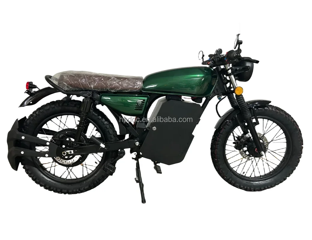 Vintage Style 30AH/40AH/50AH/60AH/78AH Battery Options Electric Bike Motorcycle Max Speed 100KM/H Hot in Sale