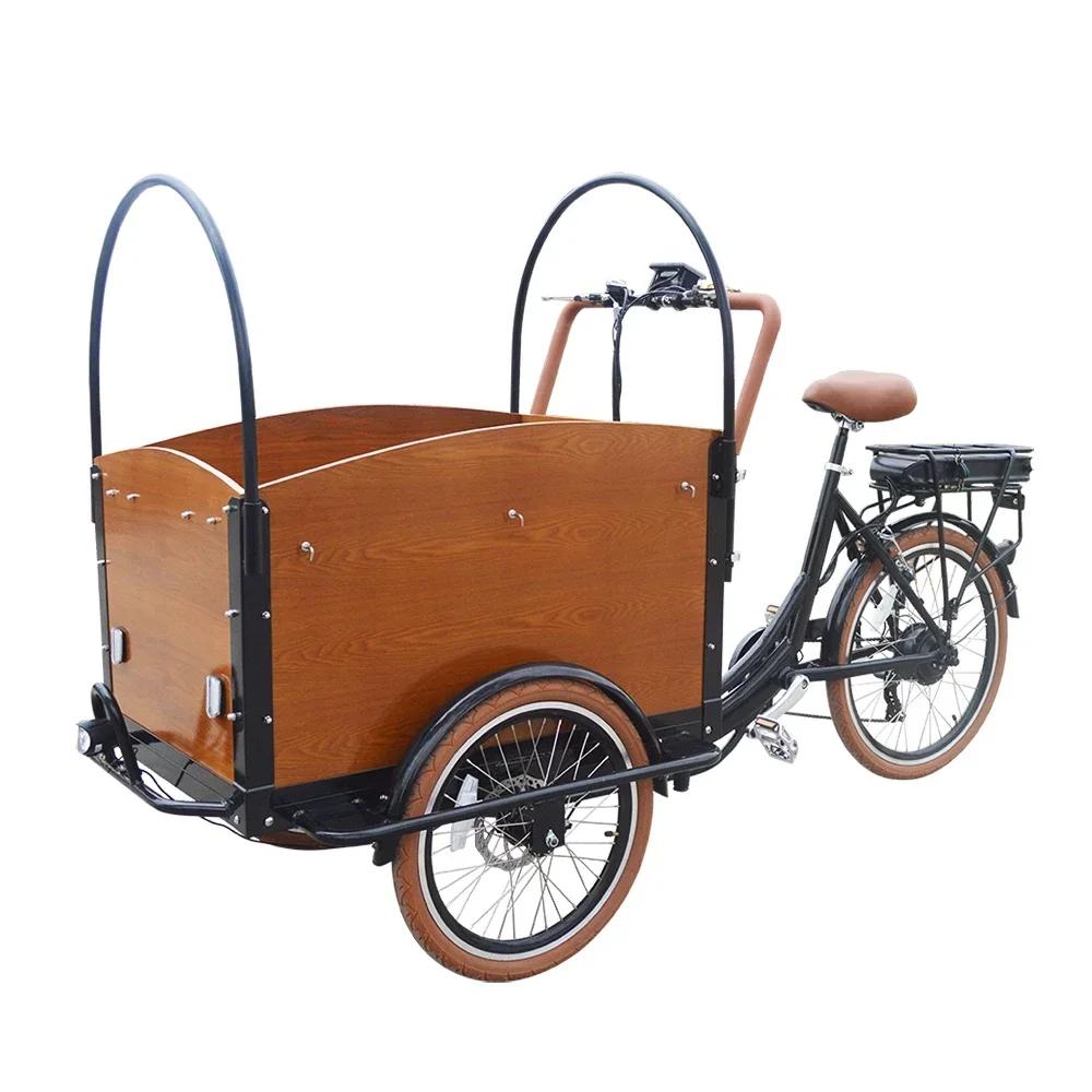 Style Family Shopping Electric Three Wheel Cargo Bike for Family