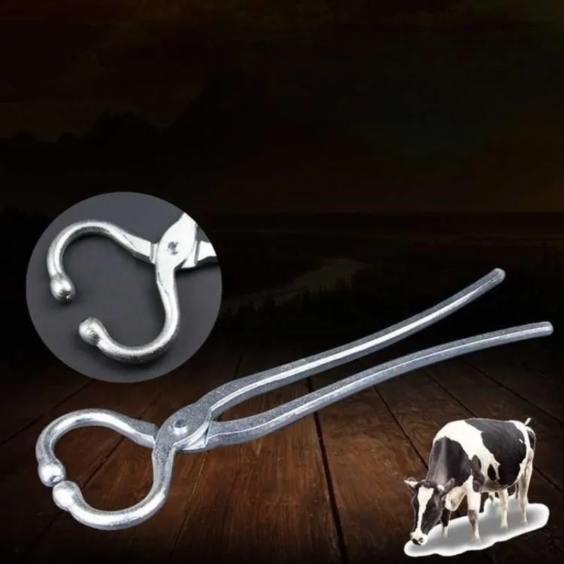 الكربون الصلب الثور كماشة بأنف ملزمة الجر أدوات طبيب بيطري المهنية المحمولة قابل للتعديل كماشة أدوات يدوية ذات مقبض طويل #3