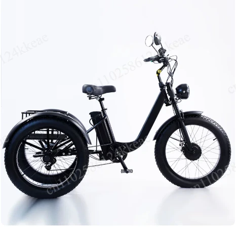 Seat 750W48V electric bicycle suitable for men wide tire electric adult tricycle suitable for two people to ride with passengers