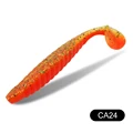 CA24