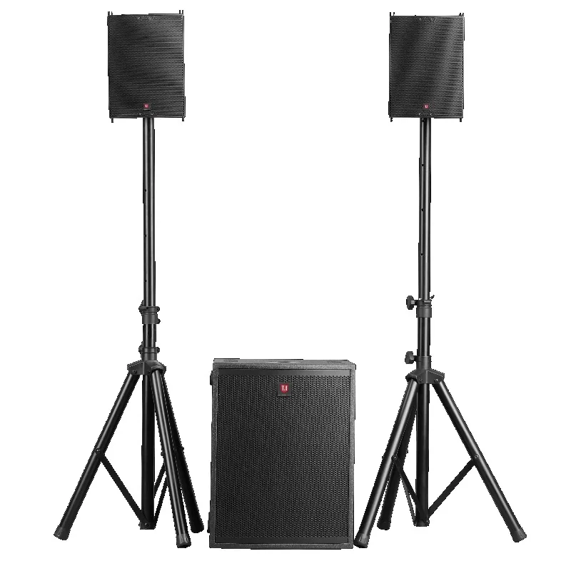 Indoor Outdoor Line Array Speaker with Stand Professional Audio System for Stage and Activity