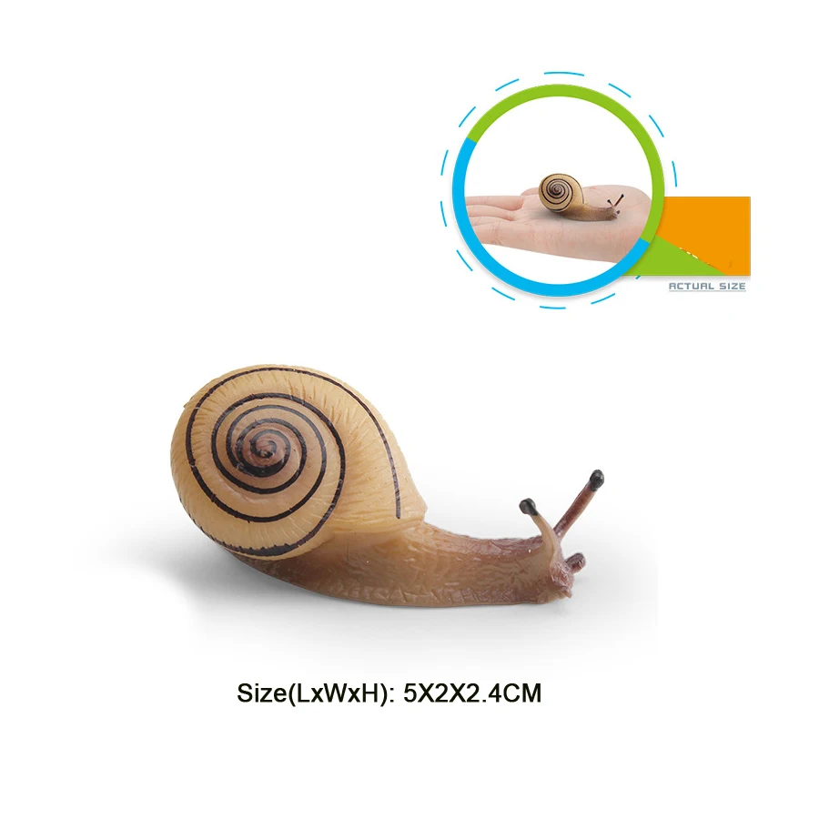 Realistischer Lebenszyklus einer Schnecke, Modellfigur, Schneckenfigur, Partyzubehör, Kuchendeckel, Tischdekoration, Sammlungsspielzeug