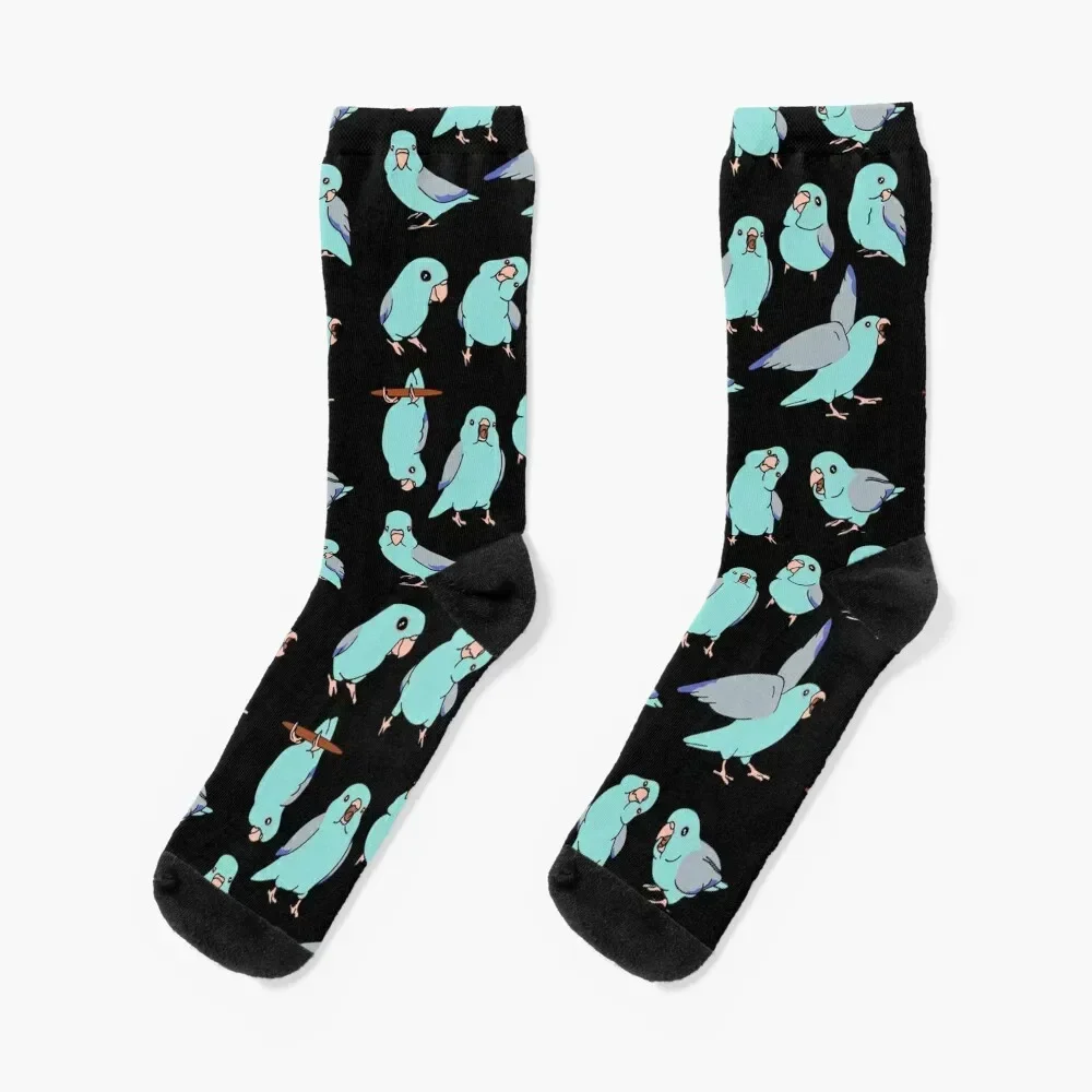 

blue fallow parrotlet doodle pattern Socks funny gift winter Wholesale Boy Socks Women's