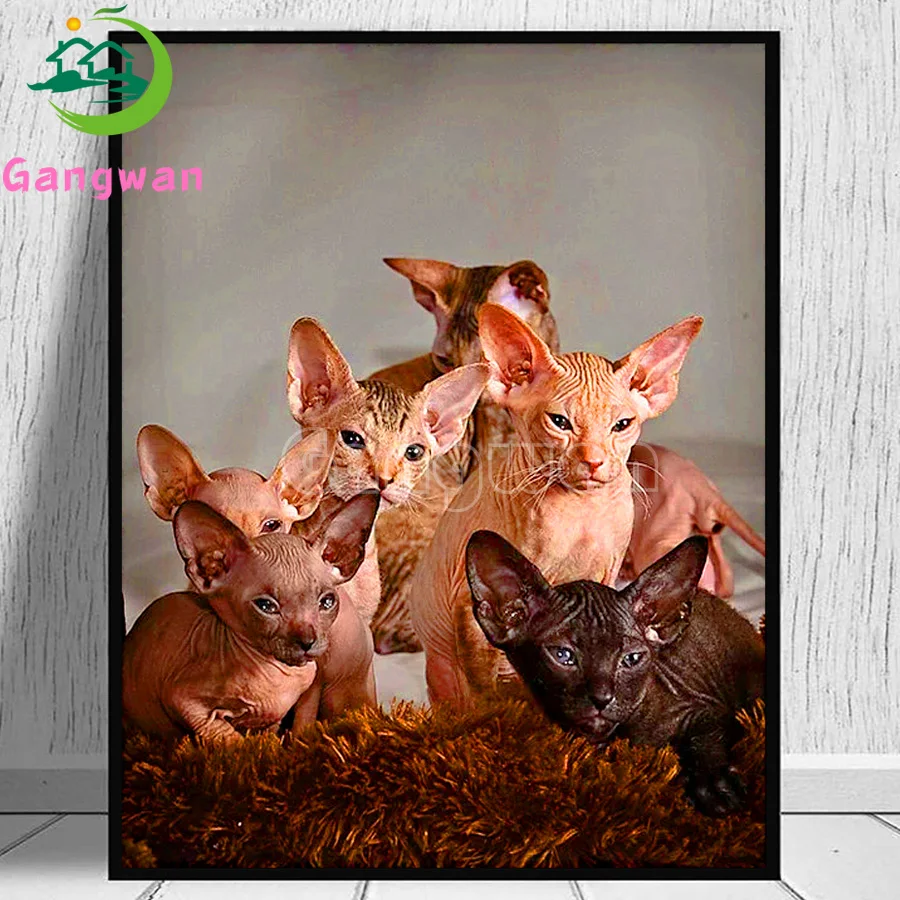 DIY Diamond Painting cute Cat Diamond Embroidery Animals Sphynx 5D Full Square round Drill Picture Of Rhinestone Home Decoration